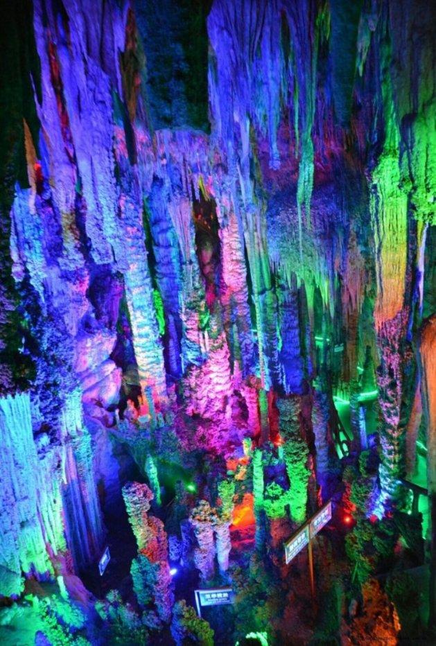 逃离森林湖畔