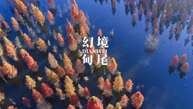矿工打地鼠