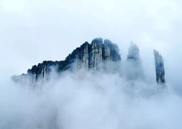 想要换个工作岗位，该怎么跟领导说呢？游戏画面
