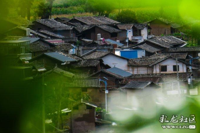 钱学森和蒋英恩爱62年,青梅竹马天作之合,不离不弃的一生