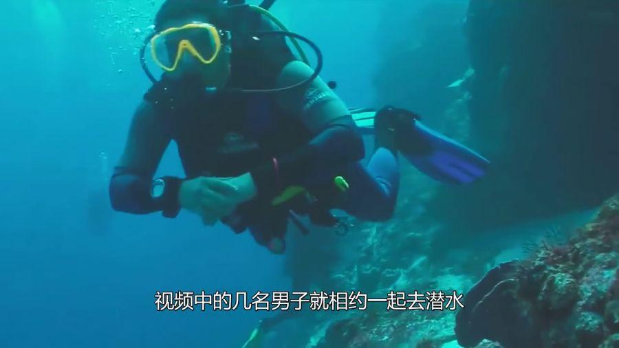 好逸恶劳的动物,猜一生肖?知识星球平台,打造你的知识沙漠