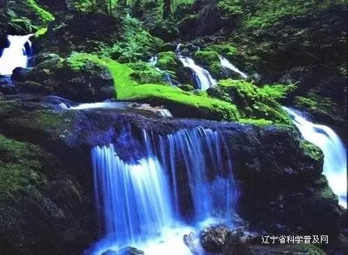 缤纷水果茶无敌版