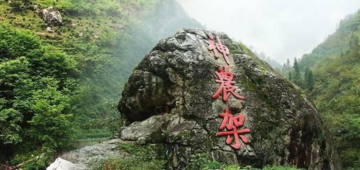 假将军顶替真将军去延安开会，还好保镖胆大心细，识破了此人身份