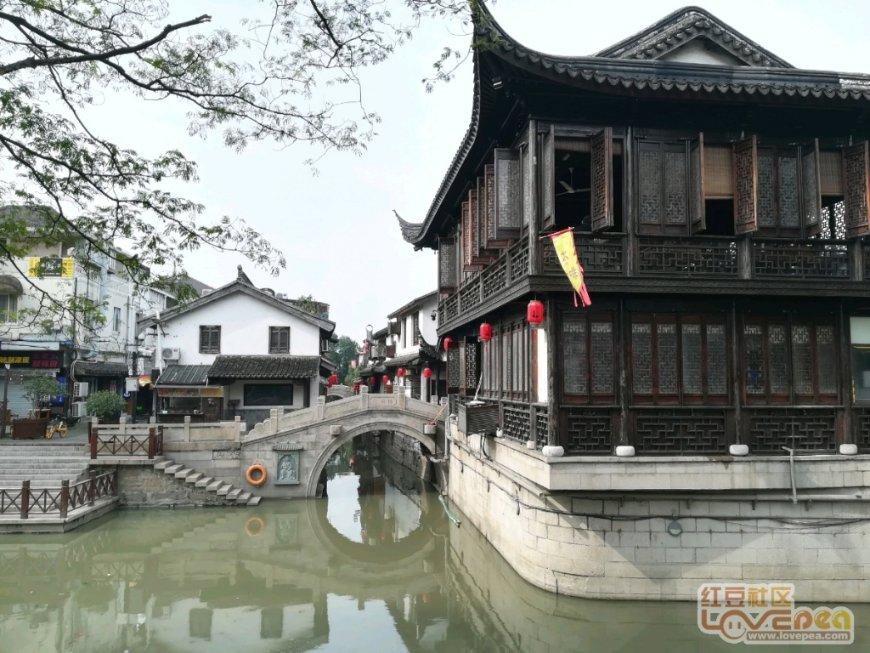 探索胳膊上的,这是鸡皮疙瘩吗?的魅力 - 红迪网平台